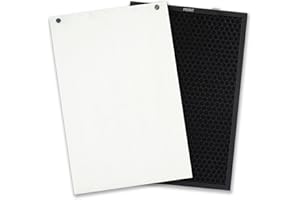 PUREBURG Wymienny filtr HEPA + filtr z węglem aktywnym do oczyszczacza powietrza Bissell Air220 aka 2609A. Zastępuje części nr 2678 & 2677