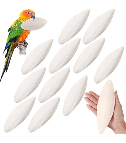 Birds Cuttlebone - Natural Cuttlefish Bone, Cuttlebone Chew Toy | 10Pcs Bird Calcium Source Cuttlefish Bone, Beak Conditioning Calcium Source Natural Cuddle Bone For Reptiles Turtles Cockatiels