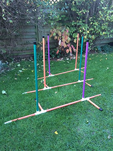 purple-orange-green-freestanding-adjustable-weave-set-for-dog-agility-training-due-to-amazons-new-postage-policy-we-can-only-post-this-item-to-mainland-uk-England-Wales-and-Scotland-only