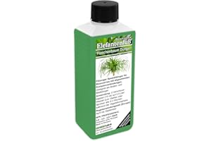 GREEN24 Elefantenfuß Dünger 250ml | Spezial-Flüssigdünger für Beaucarnea recurvata | Für dicken Caudex, kräftigen Wuchs & sattgrüne Blätter | Sukkulenten- & Flaschenbaum-Pflege