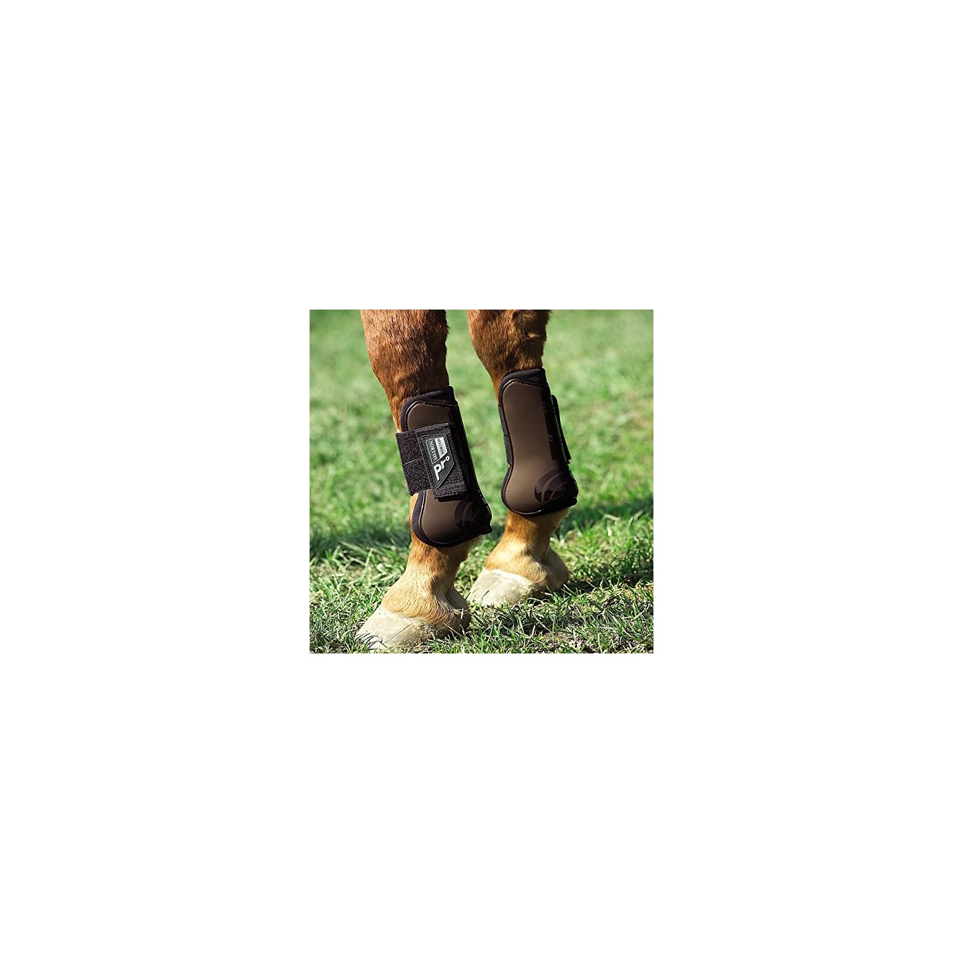 Horse ‘n’ Pony