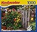 Produktbild Kodacolor 1000 Piece Puzzle - Painted Ladies Collection - 701 Louisiana Street, Lawrence Kansas Victorian Home Built in 1887