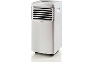 Ariete Polar 10, Climatizzatore Portatile 10000 btu/h, 220 Volt, Gas Naturale R290, Classe Energetica A, Bianco