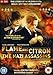 Flame And Citron [DVD] [2008]