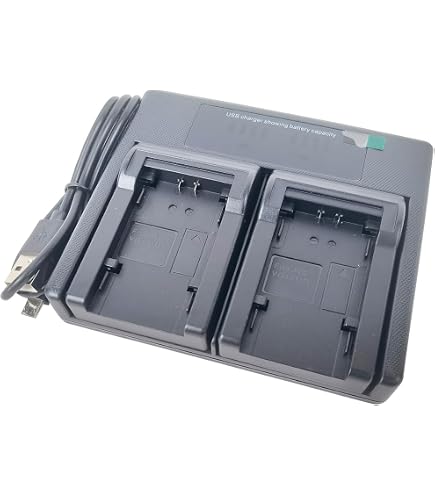 Batteria VINTRONS Agli Ioni Di Litio Per JVC BN-VM200, BN-VM200U – 750mAh – Compatibile Con GZ-MC500, GZ-MC200 E Altri