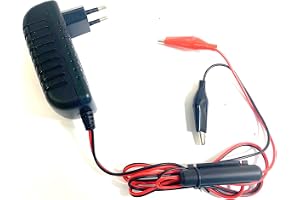 Enerpower pluggladdare 4S 14,6 V för LiFePo4 batterier 12 V (12,8 V) 2 A krokodil