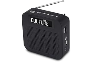 Bingxue DAB 3 Portable Radio Players Recorders FM Stereo Digital Speakers Alarm Clock/Aux/USB headphone jack