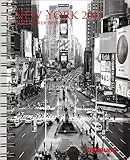 New York 2013 by 