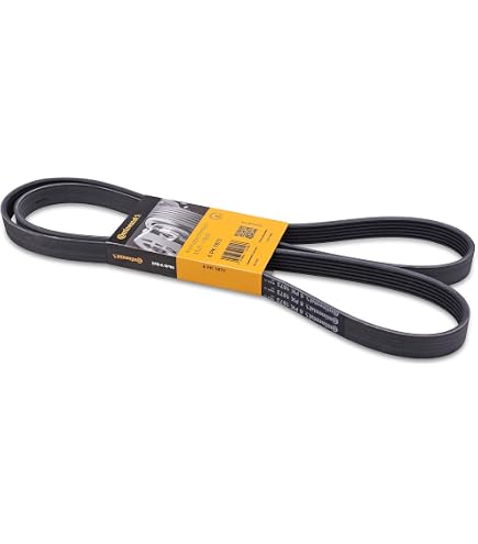 Correa Trapecial Poli V Febi-Bilstein 28987 - Compatible Con Seat, Opel, Volkswagen, Audi Y Otros Modelos