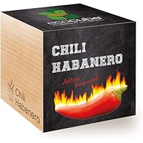 Feel Green Ecocube Chili Willy (Force Du Chilli 6), The Most