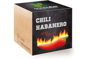 Feel Green Ecocube Chili Habanero, Fiery Hot, Idea de regalo sostenible (100% respetuoso del medio ambiente), Cultiva tu propio / Set de plantas, Plantas en cubo de madera de 7,5 cm, Hecho e