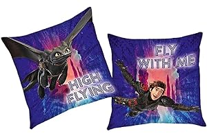 Dragons Flieg mit Mir | Kinder Deko-Kissen 40 x 40 cm | DreamWorks