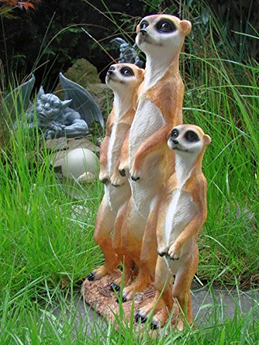 Erdmännchen Familie Figur Gartenfigur Tierfigur Garten Tier Polyresin Gruppe Eddy Aufstellfigur - 2