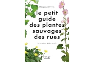Le petit guide des plantes sauvages des rues - 70 espèces à découvrir: 70 espèces à découvrir