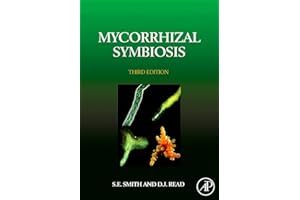 Mycorrhizal Symbiosis