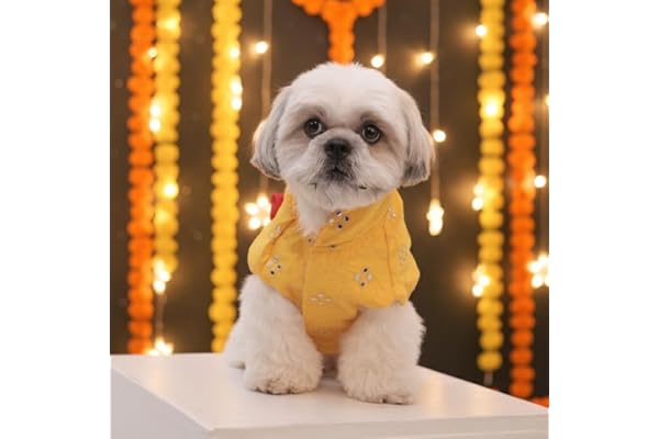 Sunshine Smiles Festive Pet Kurta, Yellow Cotton, Lightweight Breathable Traditional Ethnic Wear for Dogs, Wedding Festival Celebrations (12 inch)
