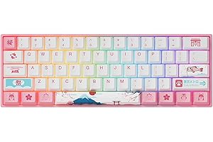 EPOMAKER AKKO 3061S World Tour R2 60% przewodowa, mechaniczna klawiatura do gier Hot- Swap z podświetleniem RGB, nasadki na klawisze PBT, programowalna NKRO dla graczy, Mac, Win (Gateron pomarańczowe klawisze, 61 klawiszy)