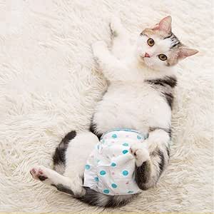 kitten diapers