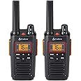 Cobra RX380 Walkie Talkies (2-Pack) - PMR446 Recreational and Business Rechargeable Two-Way Radios, 8 km Range, IPX2 Water Resistance, Black and Orange