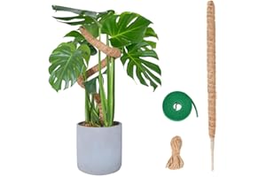 SGERUFZ 1 Pcs Tuteur de Plante Grimpante en Coco sur Piquet 70cm Support de 7mm de Largeur Pliable Idéal pour Jardin Domestique