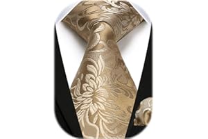 HISDERN Paisley floral lazo de la boda Panuelo Hombres Corbata & Plaza de bolsillo Conjunto
