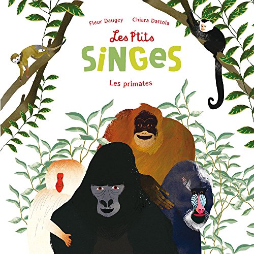 Les  p'tits singes : Les primates