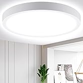 Aigostar Lampara de Techo LED 24W Ø285mm Plafon LED Techo 2700LM Luz blanco fria 6500K para Sala de Estar,Dormitorio,Cocina,P