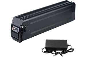 ZUIRUNDA Ebike batteria di ricambio per Aldi per MiFa Trio per Samsung Zhenlong Phylion e molti altri con caricabatterie 36V 48V Li-ion batteria della bicicletta elettrica (48V 18Ah)