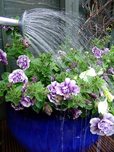 Greenkey 10 L, verzinkt, traditionellem Sprüher - 3