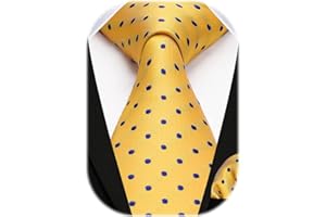 HISDERN Cravatta Uomo Elegante a Pois Cravatte e Fazzoletto da Matrimonio Set Cravatta da Business
