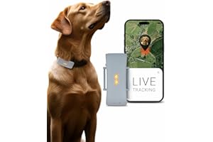 PAJ GPS Tracker for Dogs - Runaway Alarms + UK & Worldwide Live Tracking - Battery Saving Mode Near Routers - Dog Recall - LED Lights - Waterproof (IP67) - fits every collar, Grey