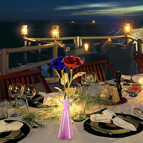 PONATIA 9.8-inches Gold Folie Rose – Beste Valentine ’s Day Gifts – handgefertigt & Last Forever. Geschenk-Box und Geschenk Karte im lieferumfang enthalten Rot - 7