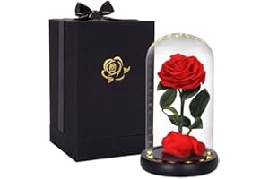 HELA Flores preservadas Hechas a Mano Rosa Eterna con Luces LED y Caja de Regalo - 20cm (la Bella y la Bestia Rosa)