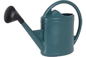 EDA 19583 jardín, Neutra