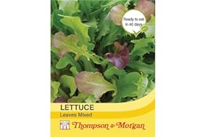 Thompson & Morgan - Vegetables - Lettuce Leaves Mixed - 400 Seed