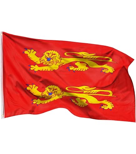 AZ FLAG - Guirlande Drapeau Nouvelle Calédonie - 6 Mètres Avec 20 Fanions Kanak De 21x14 cm - Petits Drapeaux 100% Polyester - 60g
