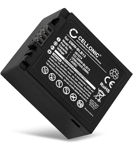 Caricatore USB PATONA Per Panasonic BLB13 Con Display LCD - Foto 11