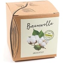 Künstliche Baumwollstiele Für Deko – 34 Cm Hoch Mit 6 Baumwollkugeln, Ideal Für Vasen & Kränze