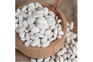 Soleilfood 2 kg weiße Bohnen getrocknet white beans Hülsenfrüchte Fasulye GMO frei feinste Qualität