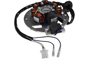 2EXTREME Lichtmaschine Version 1 kompatibel für ATU, Explorer Race GT 50 B92, KEEWAY RY6, TAURIS Samba 2-Takter JL50QT-51, SACHS Speedjet, Speedjet R, KREIDLER Galactica 2.0 DD, LIFAN S-Ray 50ccm