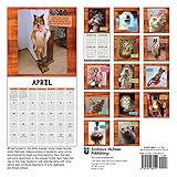 Image de Crap Taxidermy 2016 Wall Calendar