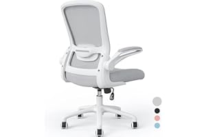 Farini Office Chair 90Flip-up Armrest Desk Chair Lumbar Support Ergonomic Computer Chair,White