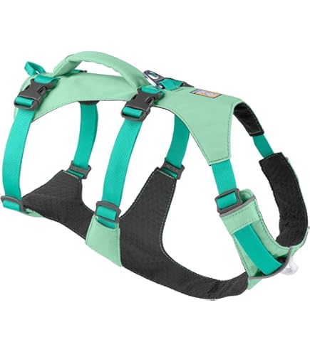 Katten Reismand Vooraan Kattentas Voor Huisdieren Met Een Gewicht Van Minder Dan 5 Kg Stabiele Hondentasdrager Stevige Dierentas Voor Buitenreizen Kitty Drager Met Ademend En Geventileerd Gaas Katten Reismand Vooraan Kattentas Voor Huisdieren Met Een Gewicht Van Minder Dan 5 Kg Stabiele Hondentasdrager Stevige Dierentas Voor Buitenreizen Kitty Drager Met Ademend En Geventileerd Gaas