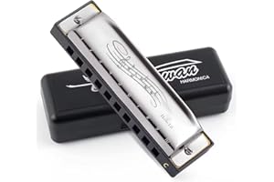 RGEVGER Blues Harmonica in C, Diatonic 10 Holes 20 Tones Mouth Organ Variety of Playing Styles, Metal Mini Chromatic Harmonica Small and Portable, for Kids Adults Beginners and Performers