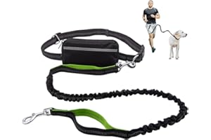 LFSEMINI Hands Free Dog Lead for Running Walking Training Hiking, Dual-Handle Shock Absorbing Reflective Bungee, Adjustable Waist Belt and Pouch, Ideal for Medium to Large Dogs(Black/Green)