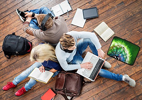 Pedea Design Tablet PC Tasche 10 1 Zoll  25 6 cm  neopren green hedgehog