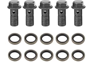 Akozon - Set di 5 bulloni per motocicletta, in ferro, M10 x 1,25 mm, M10 x 1,0 mm, per cilindro maestro del freno