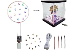 BTBEMO Lumières LED sans fil, Lumières d'induction automatique sans fil de haute luminosité de 12PCS colorées pour kits d'art et d'artisanat Ajouter du plaisir à la vie