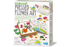 4M Green Creativity Pressed Flower Art