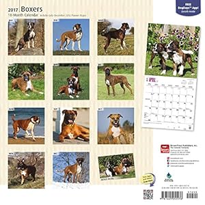 Boxers International - Boxer 2017 - 18-Monatskalender mit freier DogDays-App: Original BrownTrout-Kalender [Mehrsprachig] [Kalender] (Wall-Kalender)